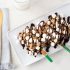 S'mores Waffle Popsicle